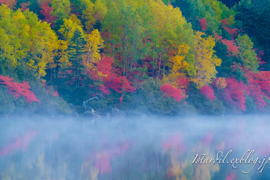 白駒池　紅葉　2014_b0141043_19510406.jpg