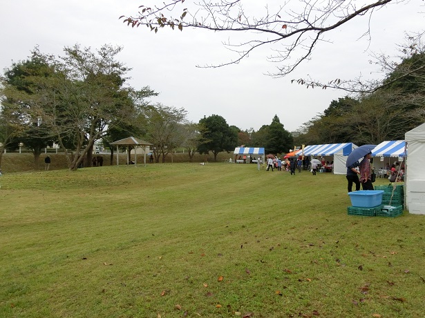d0204043_2352744.jpg