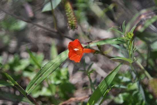 c0093046_8303468.jpg
