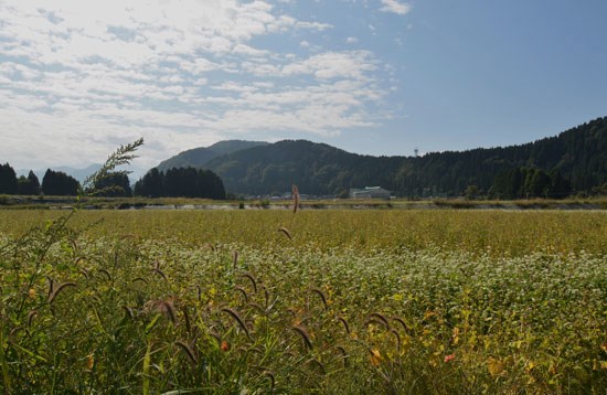 c0093046_830544.jpg