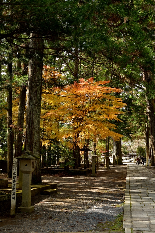 高野山の思い出_f0323351_10505895.jpg