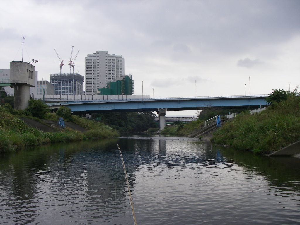 a0130057_21545498.jpg