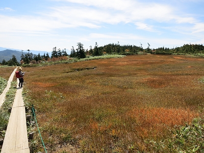 e0170558_21353513.jpg