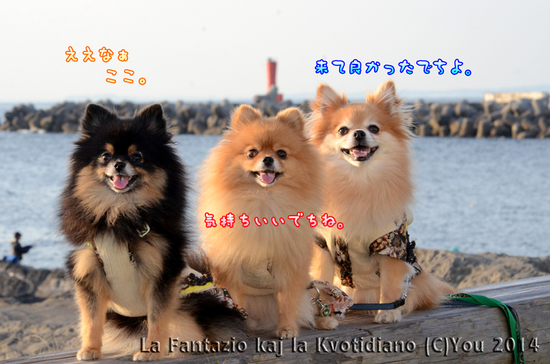 a0004070_00240373.jpg