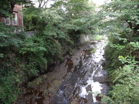 １０月４日（土）鎌倉寺社見学と祇園山ハイキング_e0006772_2139784.jpg