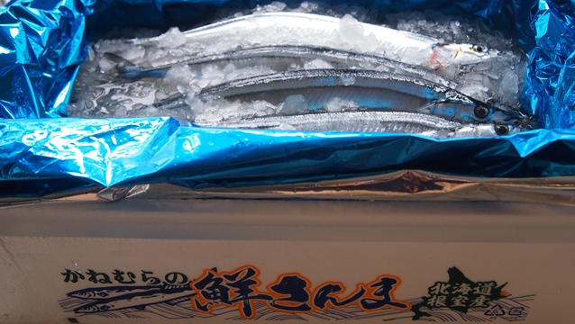 e0148373_16144174.jpg