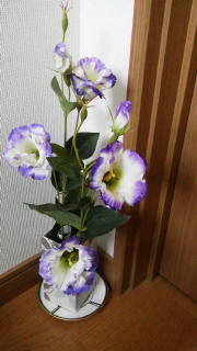 b0335376_19060824.jpg
