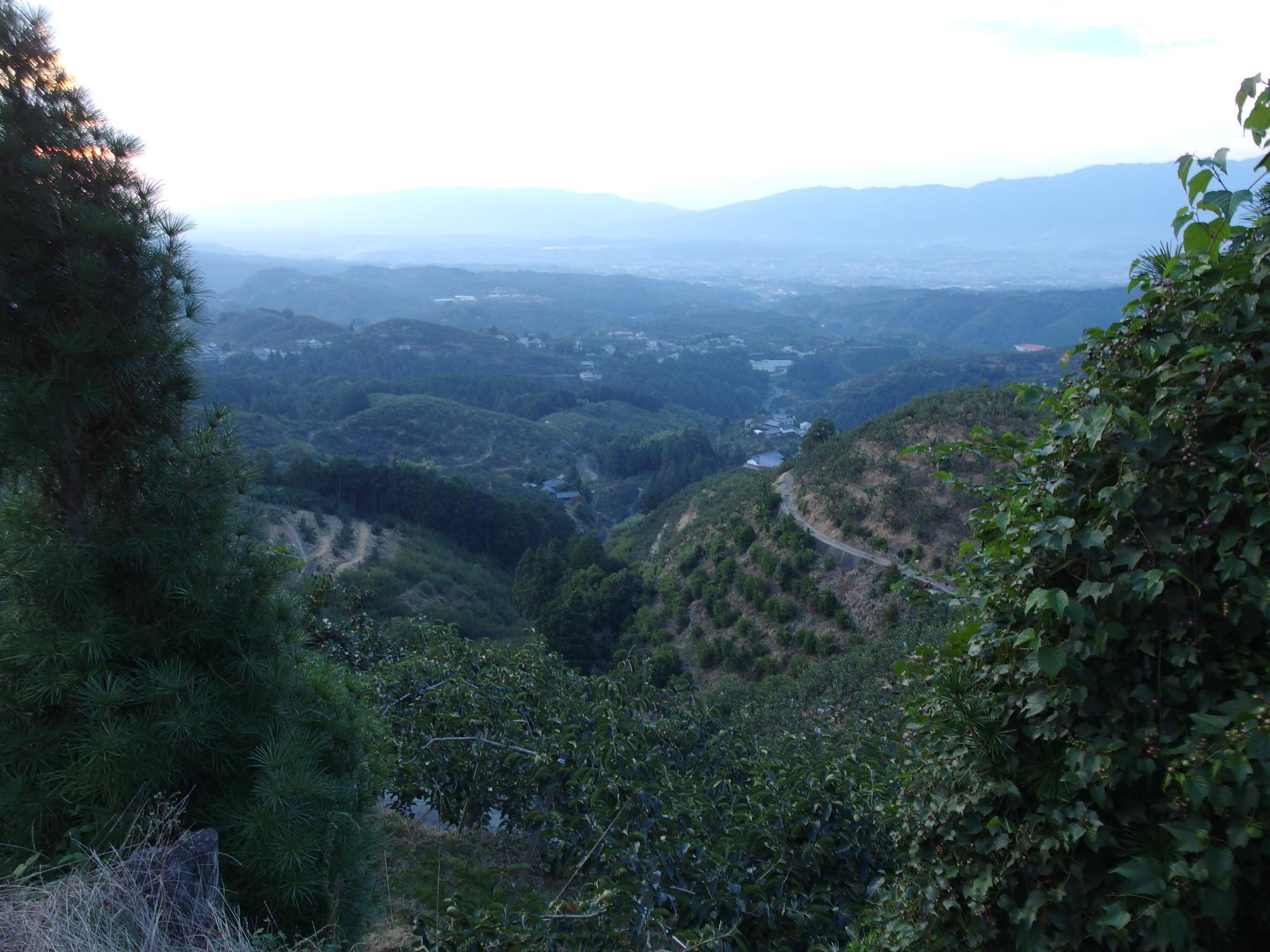 c0177576_14213642.jpg