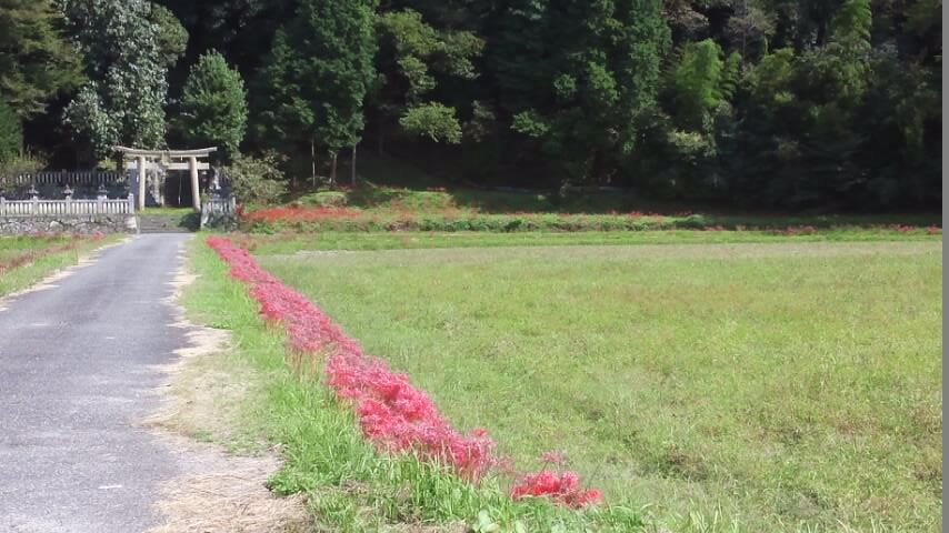 f0200477_20441424.jpg