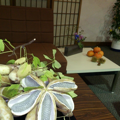 秋が集まってきた。_d0182179_16554251.jpg