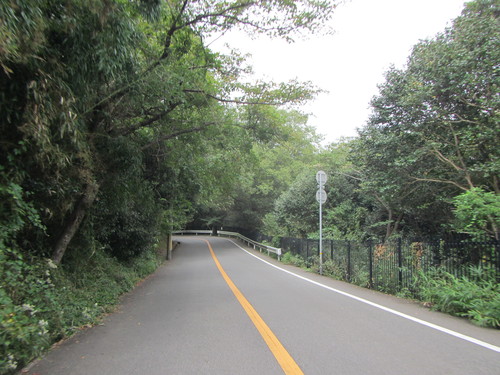 ご近所で坂ポタ　蓬莱峡〜ハニー坂〜甲山_a0251786_18435315.jpg