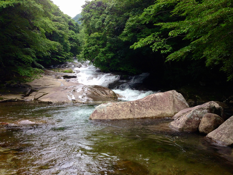 愛媛トリップ Day.1ー滑床渓谷&三本杭ー 2014/07/04-05_b0220886_1034487.jpg