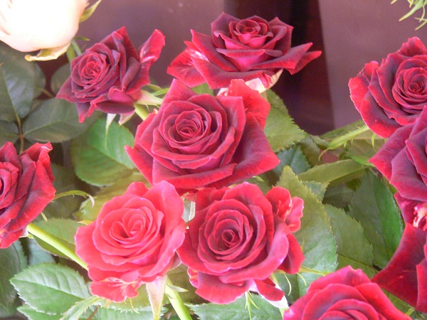 e0140986_15333313.jpg