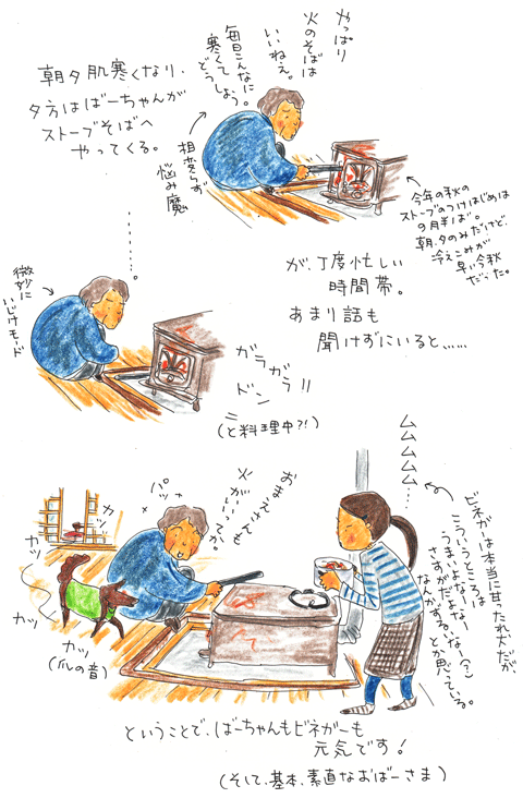 秋の夕暮れと婆ちゃんとビネガー_f0236291_1541261.gif