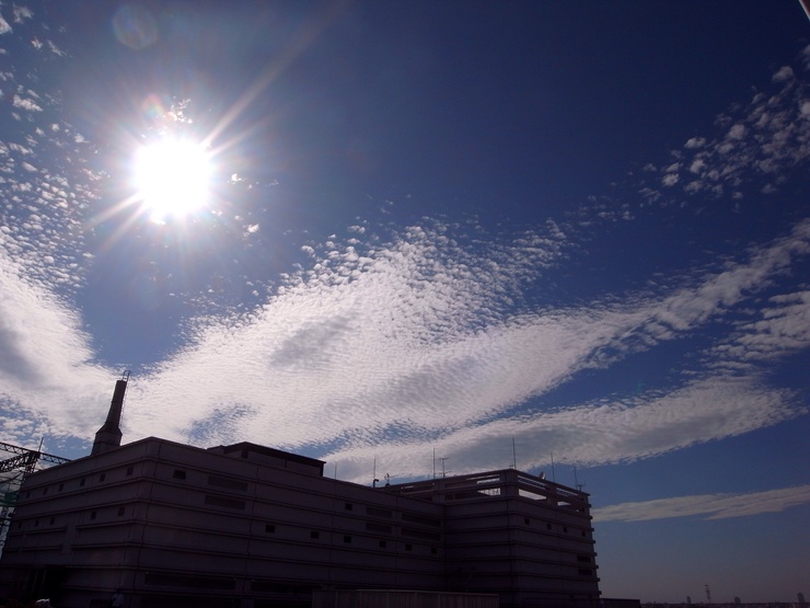 b0168993_9171859.jpg