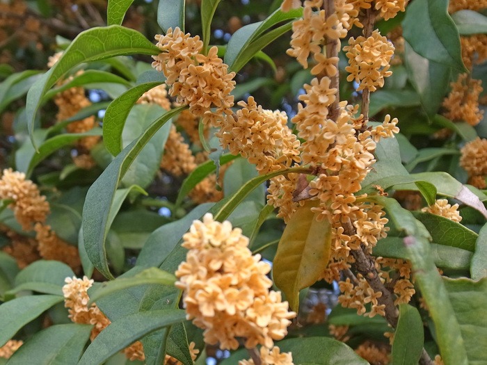 c0049299_22205129.jpg