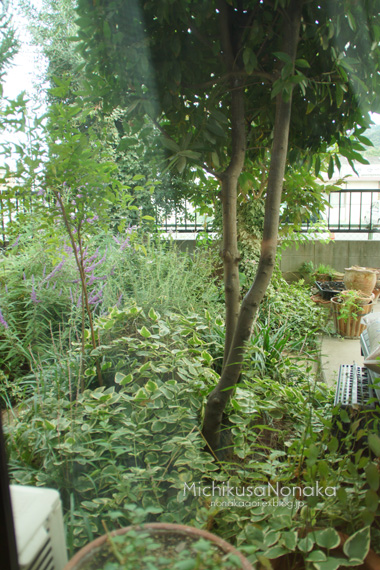 c0324507_23125255.jpg