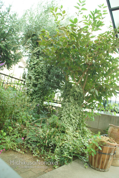 c0324507_23125729.jpg