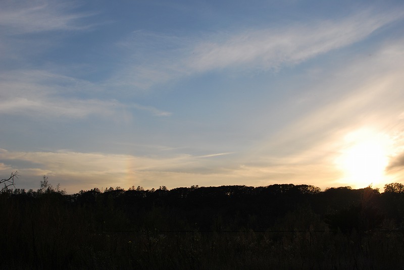d0051707_18110281.jpg