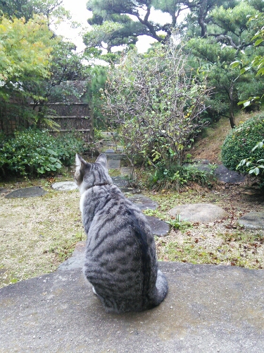 台風の風_b0307008_1813840.jpg