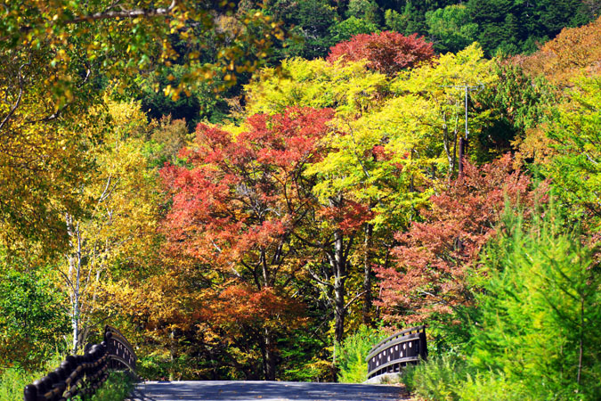 奥日光　湯ノ湖の紅葉_a0263109_10195823.jpg