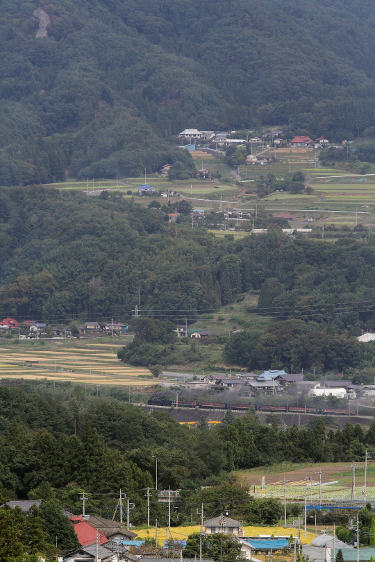 b0190710_22413827.jpg