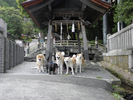 霧ヶ峰ｄｅ集会だぁ～！おまけ。_b0285010_1052073.jpg