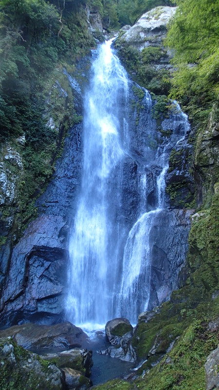 d0264710_1726571.jpg