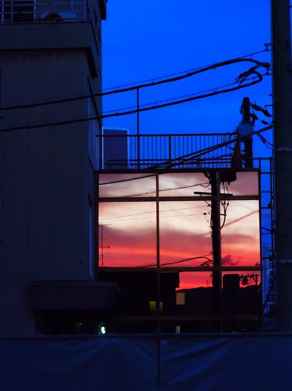 嵐の前の夕焼け_f0032011_17312585.jpg