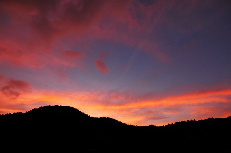f0201711_9242675.jpg