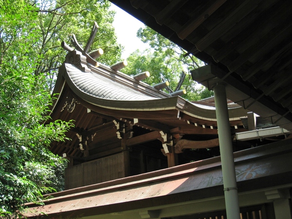 d0287413_1141229.jpg