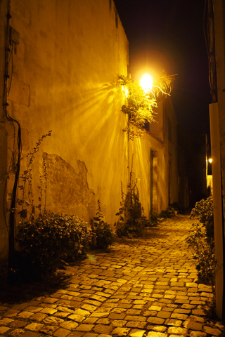 d0063314_15191947.jpg