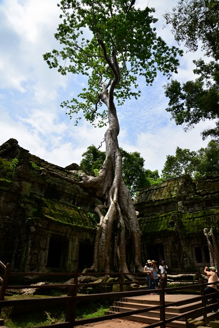 2014.7.22　Angkor Wat　２０　タ・プローム　１_f0046614_1347194.jpg