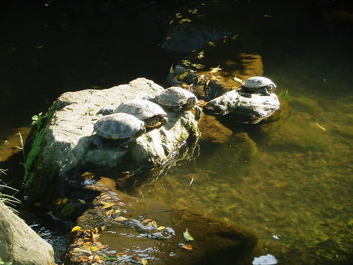 c0118715_22552181.jpg