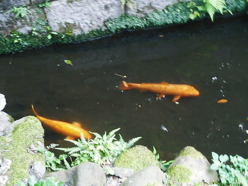 c0118715_237325.jpg