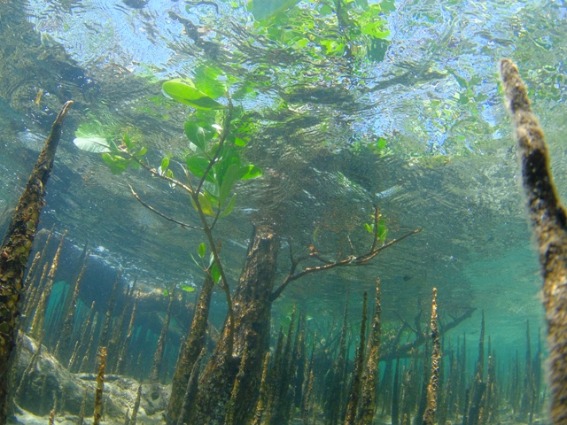 水面休息時間も楽しもう!_c0211615_20432824.jpg