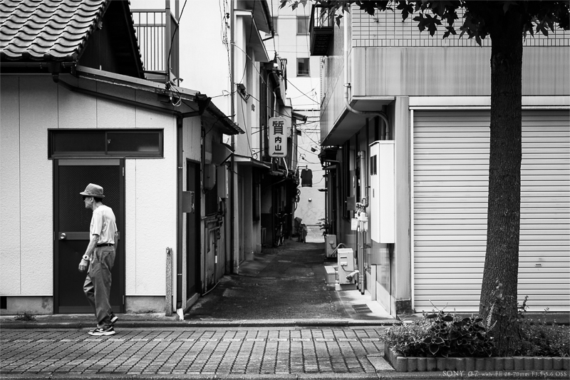 郷 里 、徳 山 に て … #12_e0117517_2391348.jpg
