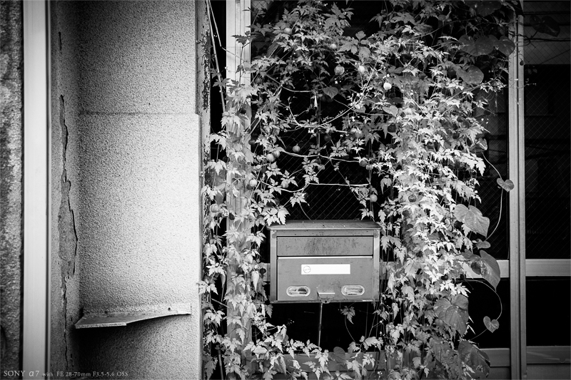 郷 里 、徳 山 に て … #12_e0117517_2394294.jpg