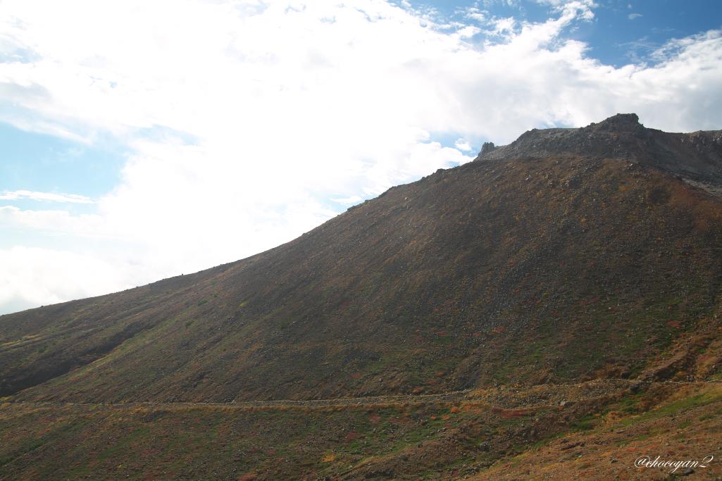 d0161322_12160298.jpg