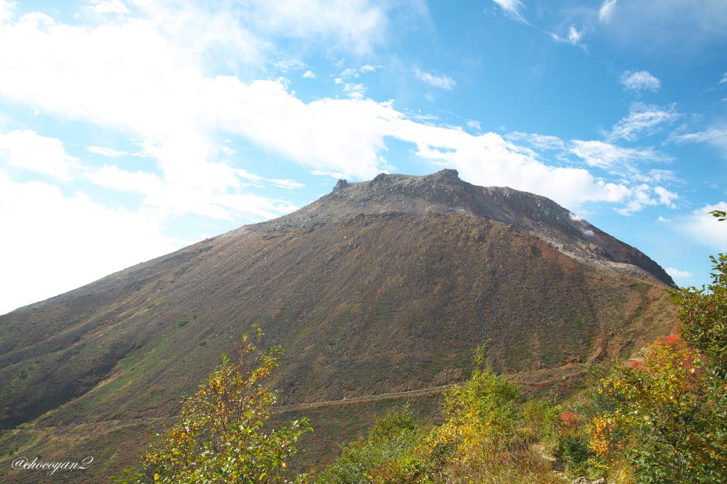 d0161322_12162848.jpg