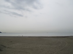 f0147922_8192471.jpg