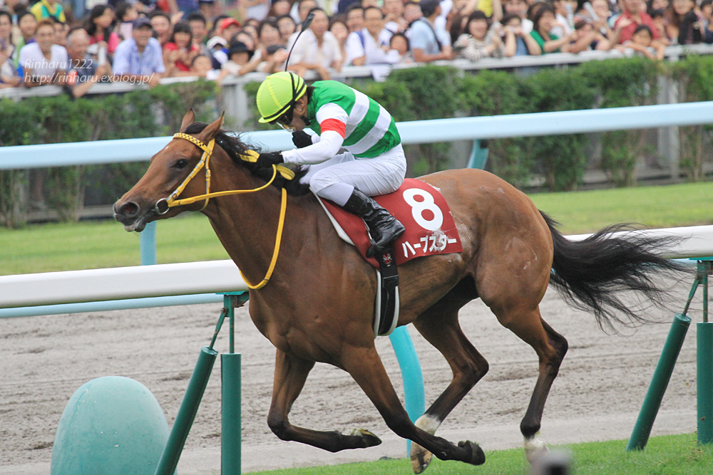 2014.8.24 札幌競馬場☆ハープスター【Thoroughbred】_f0250322_11223250.jpg