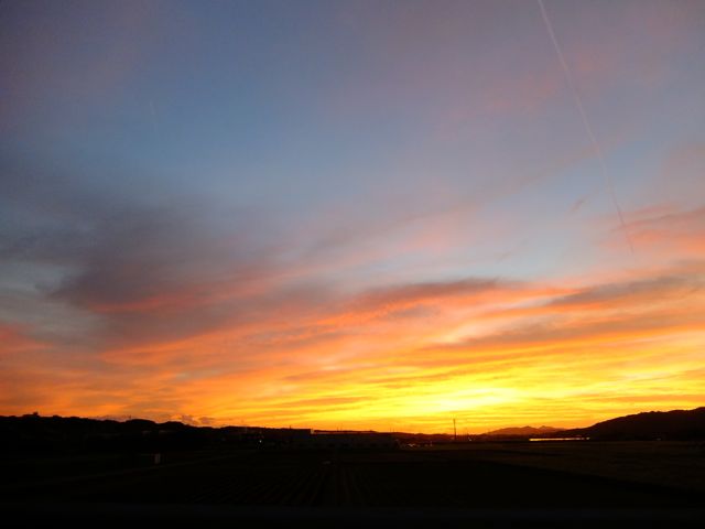 a0188023_7251521.jpg