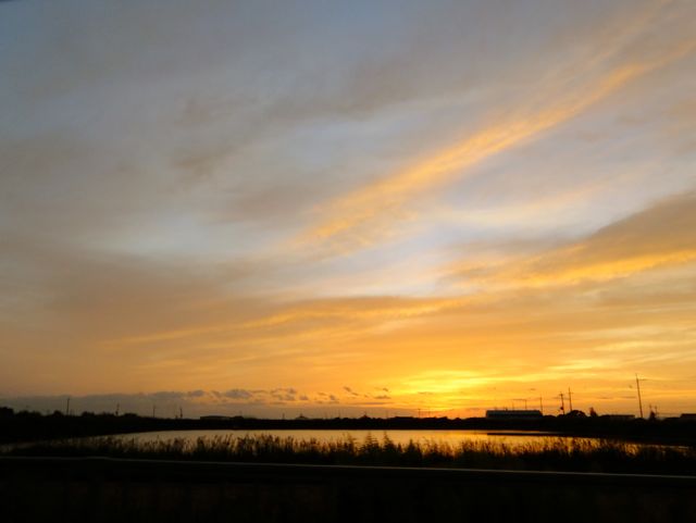 a0188023_725276.jpg