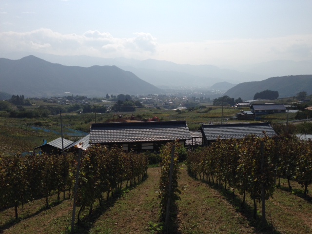 d0179027_17352950.jpg