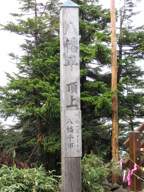 a0248728_23261185.jpg