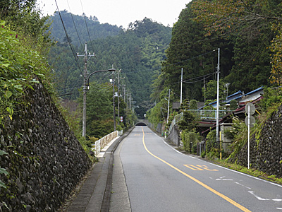 山伏峠〜正丸峠〜刈場坂峠〜天目指峠_f0341635_12485622.jpg