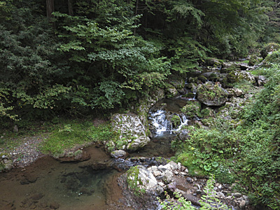 山伏峠〜正丸峠〜刈場坂峠〜天目指峠_f0341635_12492611.jpg