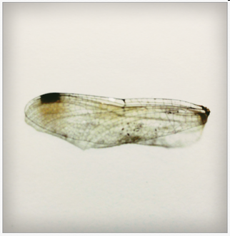 d0235336_2214997.png