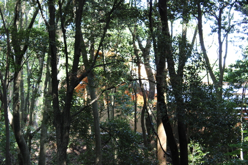 d0238636_1184261.jpg